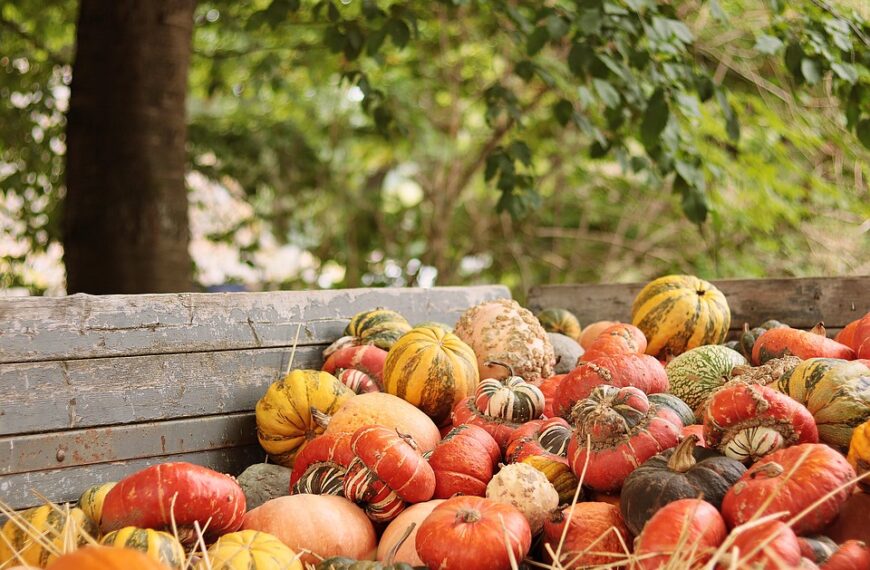 Thanksgiving travel deals