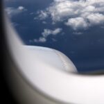 Traveling with pets on planes