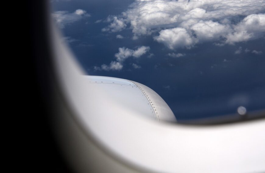 Traveling with pets on planes