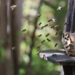 Spring break flight tips