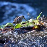 Off-season travel tips