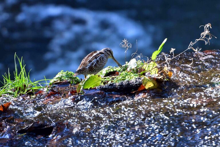 Off-season travel tips