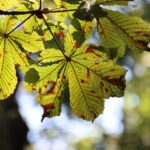 Seasonal airline deals