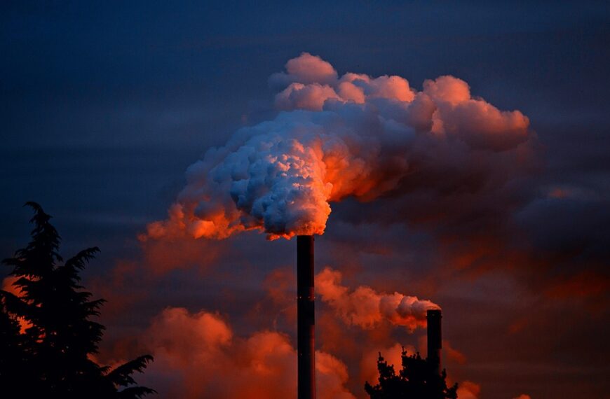 Airline environmental impact