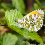 Sustainable packing tips