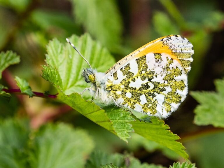 Sustainable packing tips