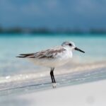 Avoiding holiday travel stress