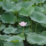 What to bring to the airport