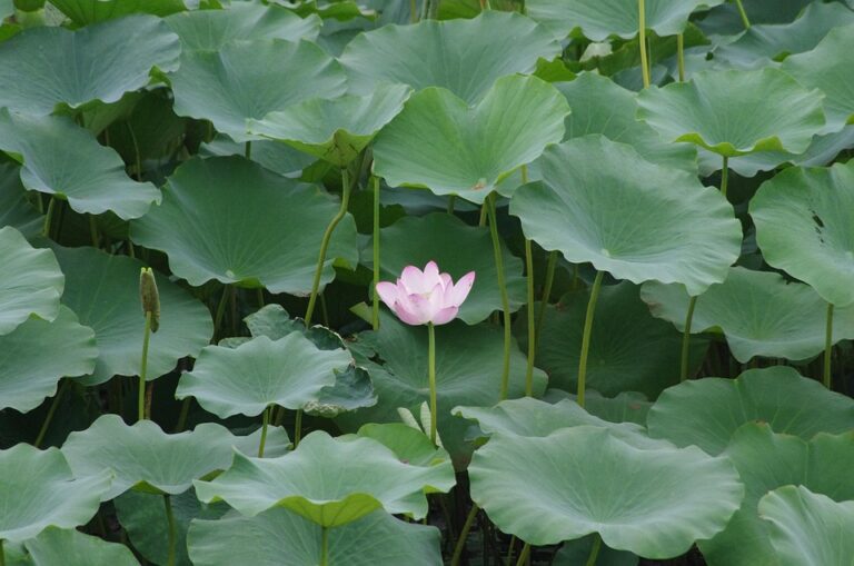 What to bring to the airport