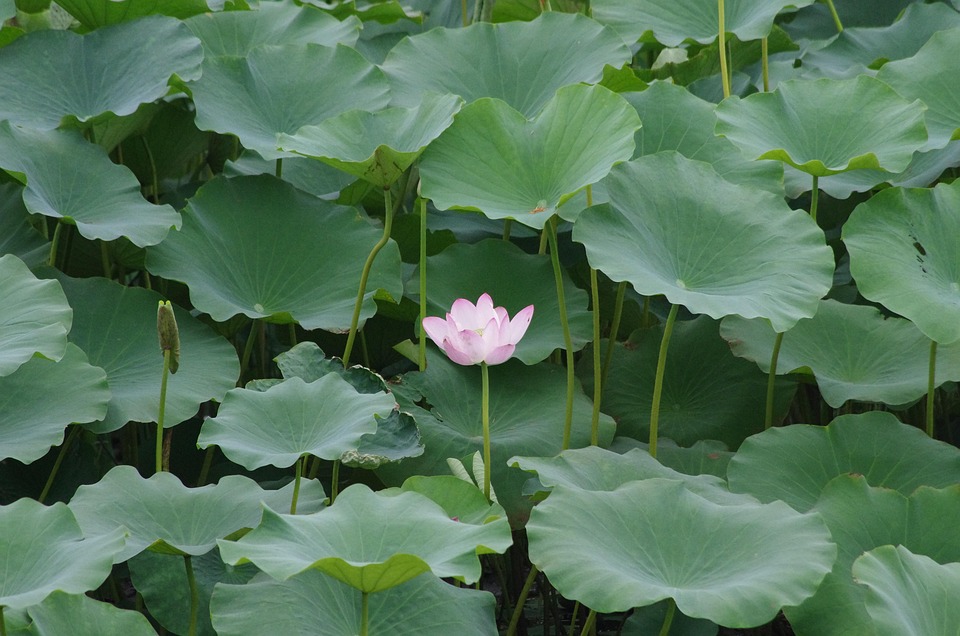 What to bring to the airport