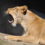 Reducing travel fatigue