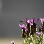 In-flight wellness tips