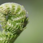 Child-friendly flight tips