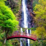 Avoiding holiday travel stress