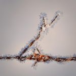 Tips for snow delays