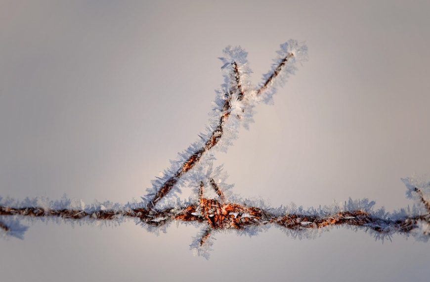 Tips for snow delays