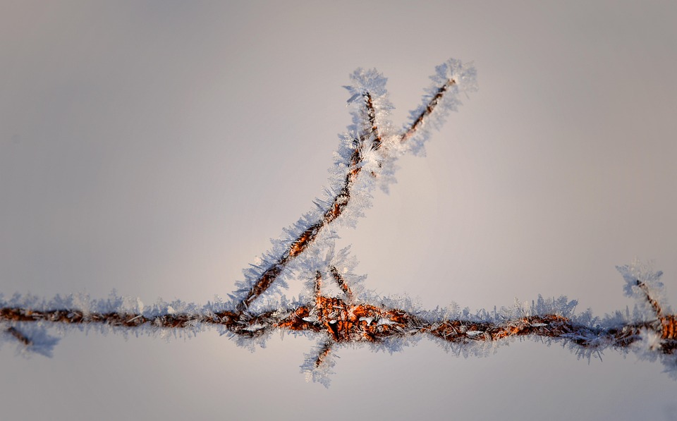 Tips for snow delays