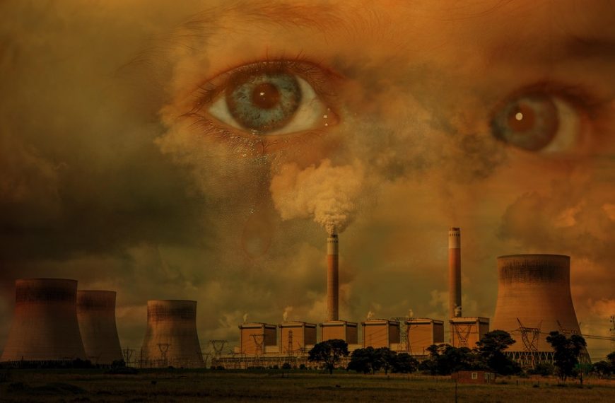 Airline environmental impact