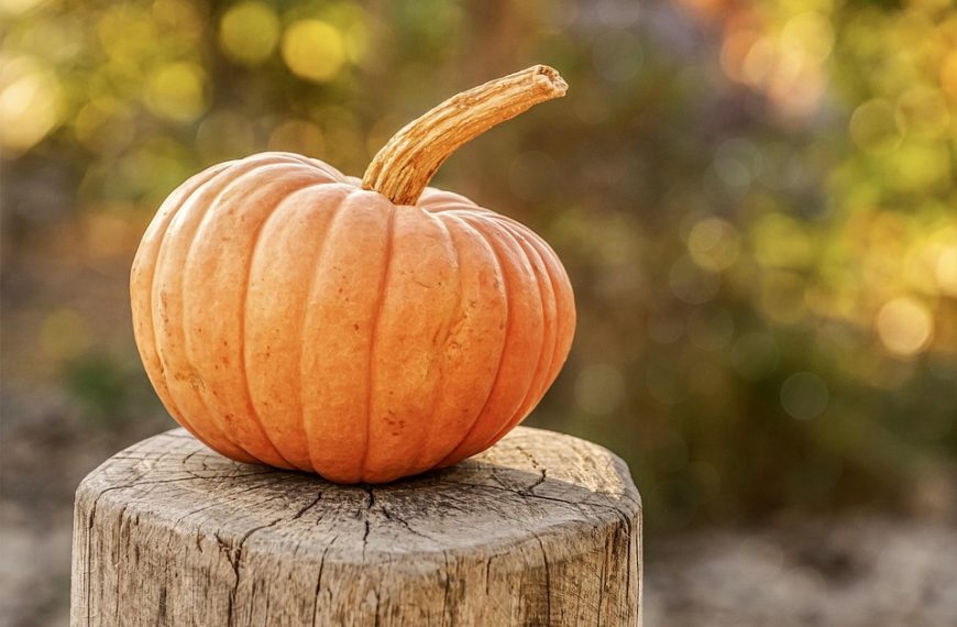 Seasonal airline deals