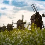 Green travel companies