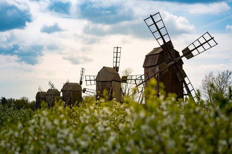 Green travel companies