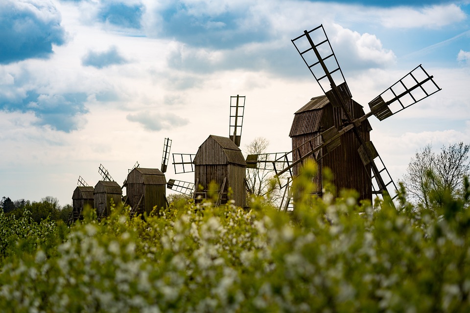 Green travel companies