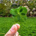 Airline ticket booking guide