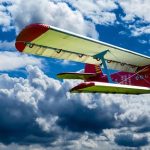 Traveling with pets on planes