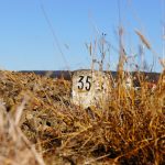 Mileage program tips