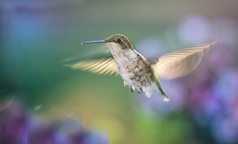 Summer flight deals