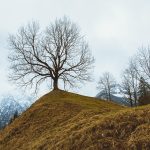 Traveling during peak season