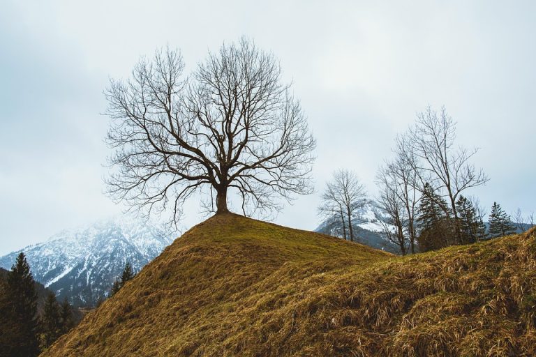 Traveling during peak season