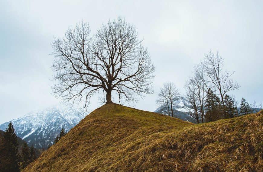 Traveling during peak season