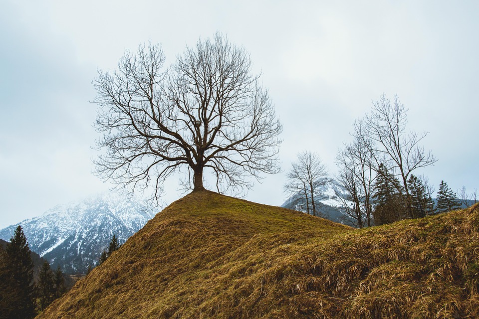 Traveling during peak season
